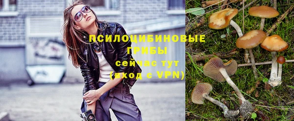 Альфа ПВП Вязники