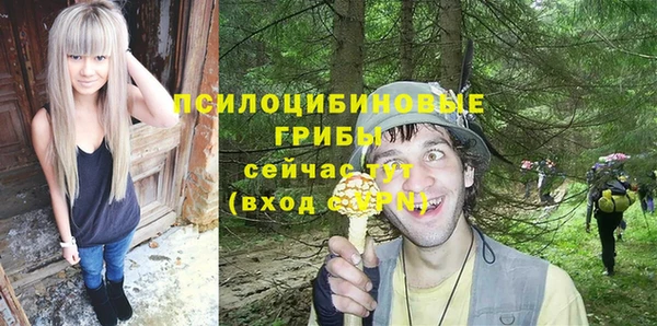 ГАЛЛЮЦИНОГЕННЫЕ ГРИБЫ Волоколамск