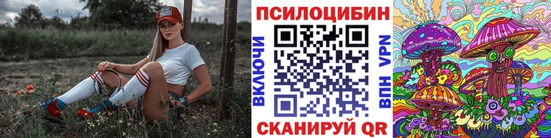 закладки Уяр Псилоцибиновые грибы прущие грибы